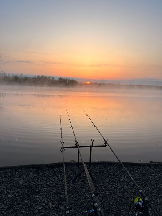 Set 4 FL Legend Carp 3.90m 3.75 LBS 2 seg+ 4 Mulineta Aquasite 10000 Si rod pod