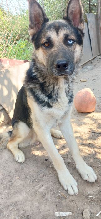 Кабель готов к вязке(копайтириш)