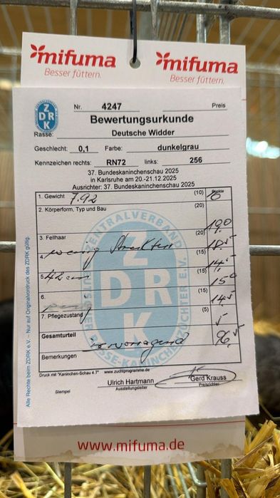 Femela Berbec German 96.5p