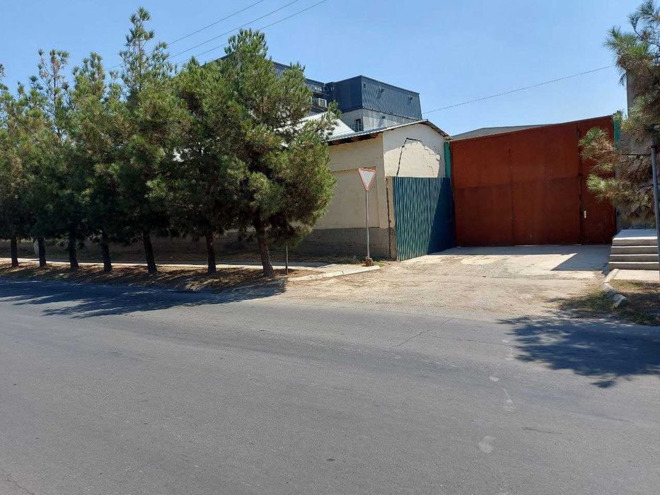 Продаётся янгихает  1я линия 25 соток