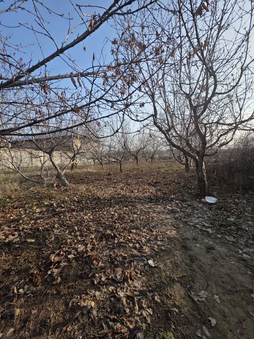 Кибрай тумани Бурота махалласида 8 сотих  4 хонали уй сотилади.