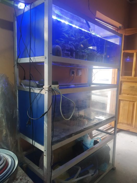 Аквариум с стеллажм