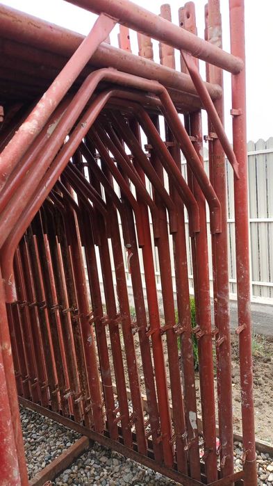 Schela model italian