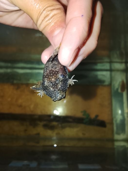 Аквариум сатылады