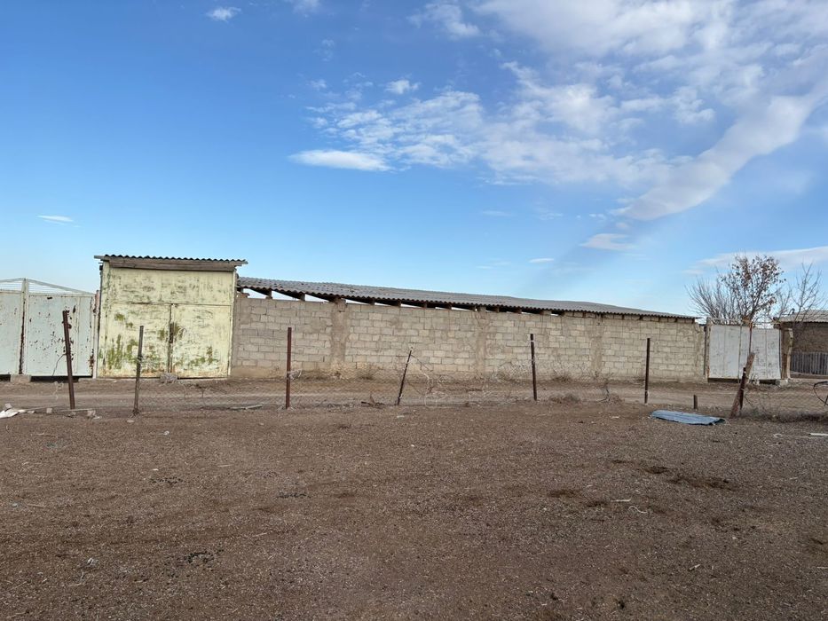 Фазенда мал баққанға өте ыңғайлы