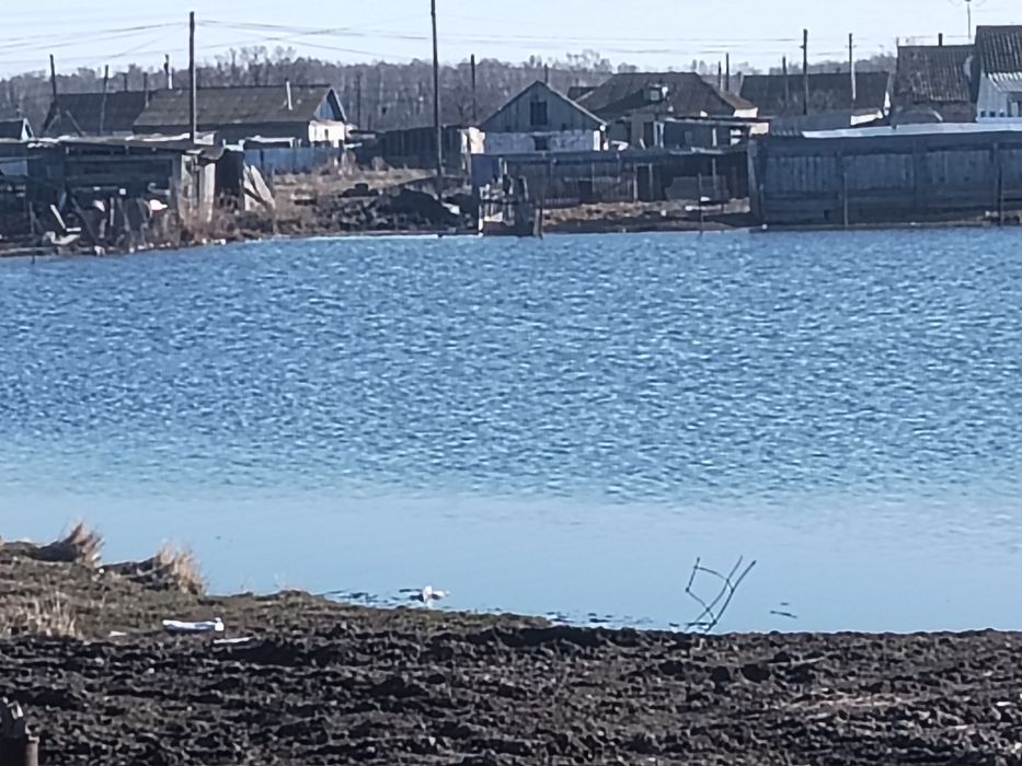 Продам дом  с. Шаховском