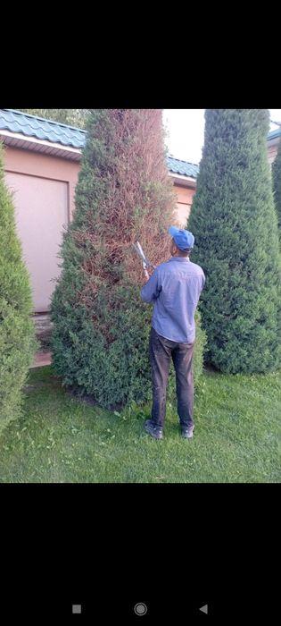 Sadovnik bogʻbon xizmati koʻrsatish