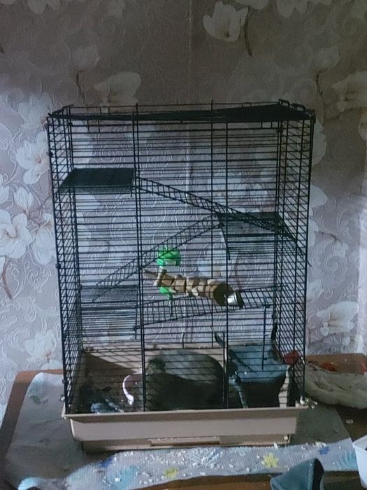 Клетка для грызынов