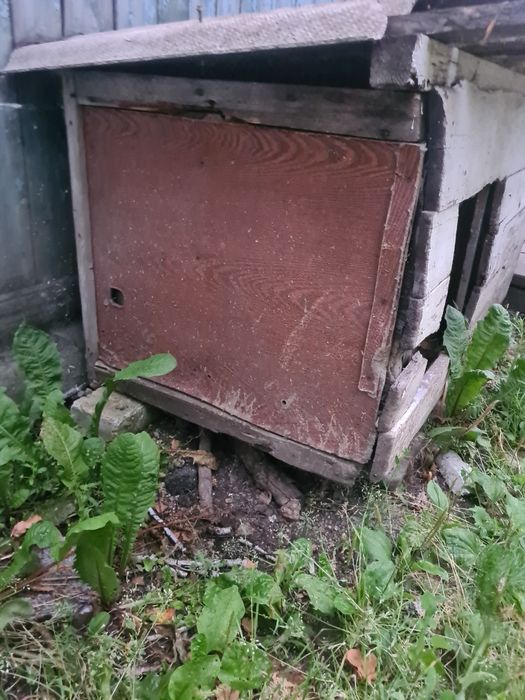 Будка для собаки бесплатно