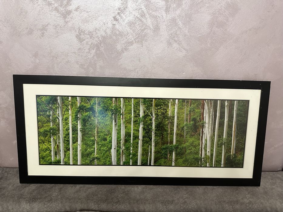 Tablou cu rama dimensiuni L 116 x 51cm