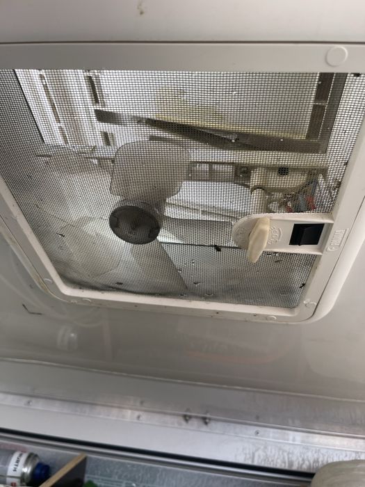 Remorca transport caini Wurz termico