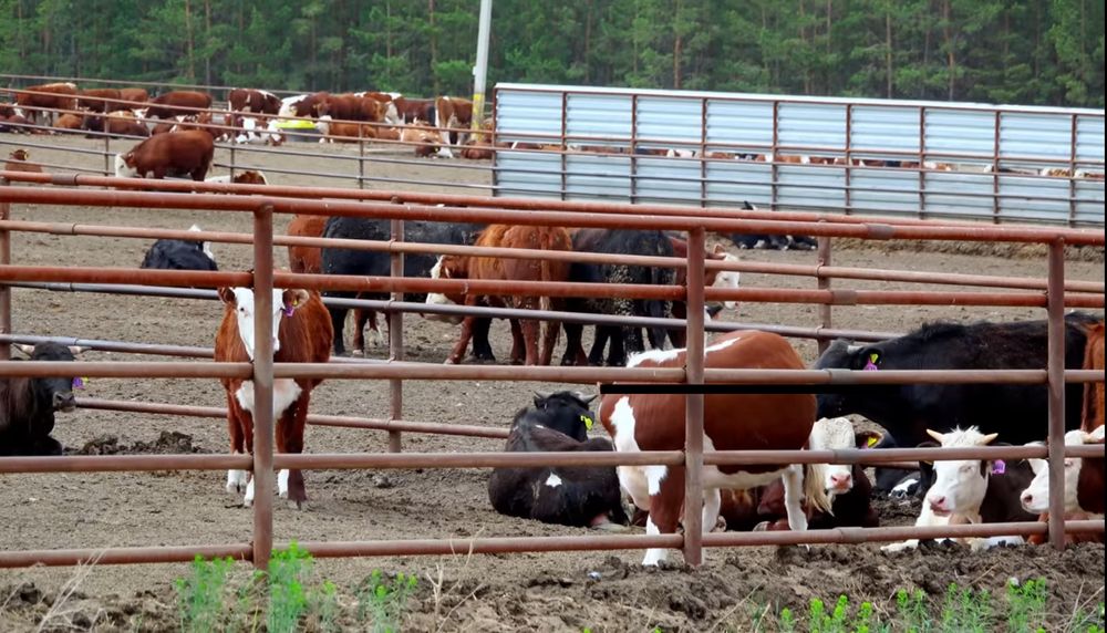 Труба НКТ 73,60¤ толшина 5.5