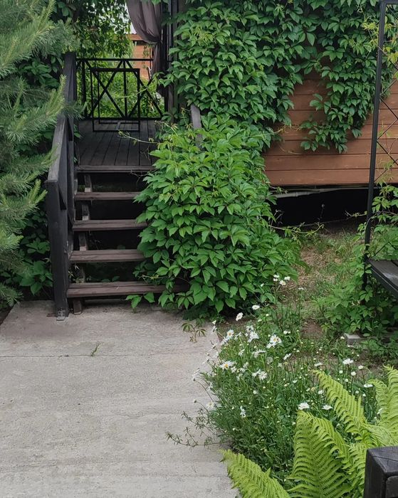 Сдам дом на Мохнатке