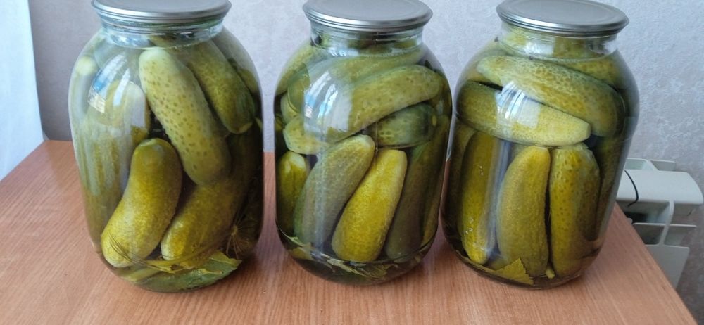 Огурцы консервированные
