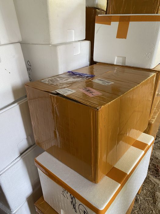 Стиропорени хладилни кутии