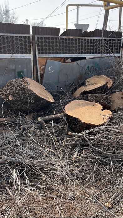 Отдам бесплатно дрова
