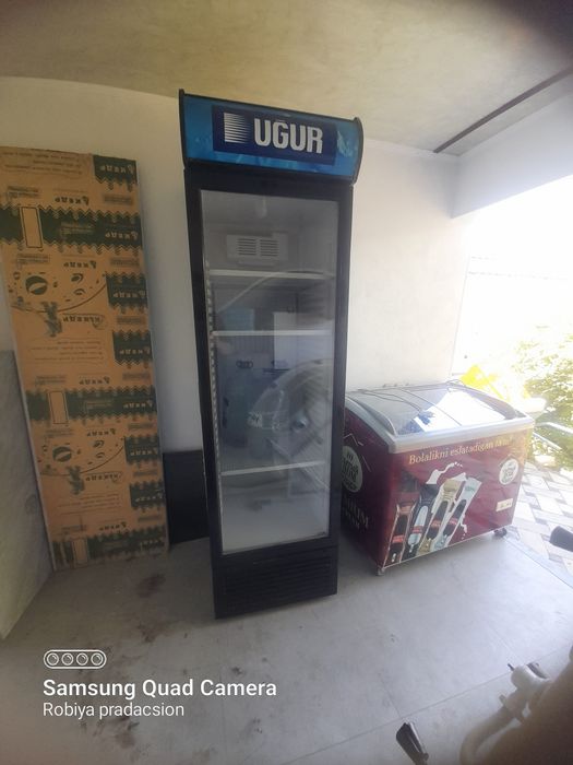 Есть холодильник стоячий и морозильник мороженый