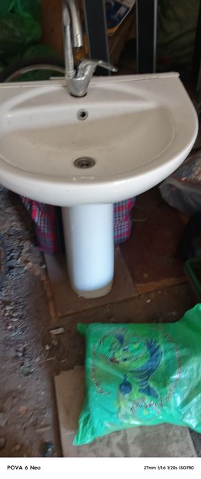 Тюльпан все целый