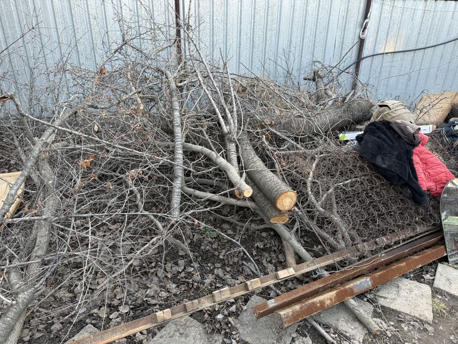 Дрова даром самовывоз