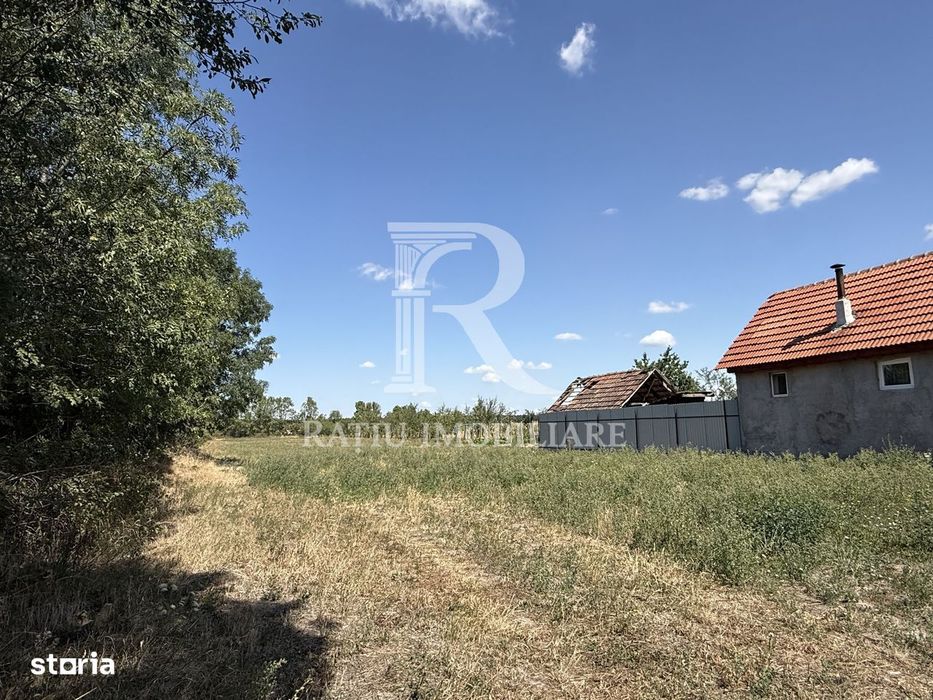 Teren de vanzare | 2600 mp | Gurbediu | Bihor