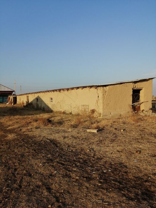 Bo'rdoqichilik bazasi sotiladi barcha xususiy mulk