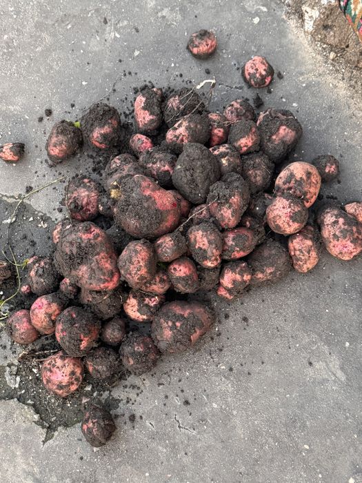 Продается  уютный дом