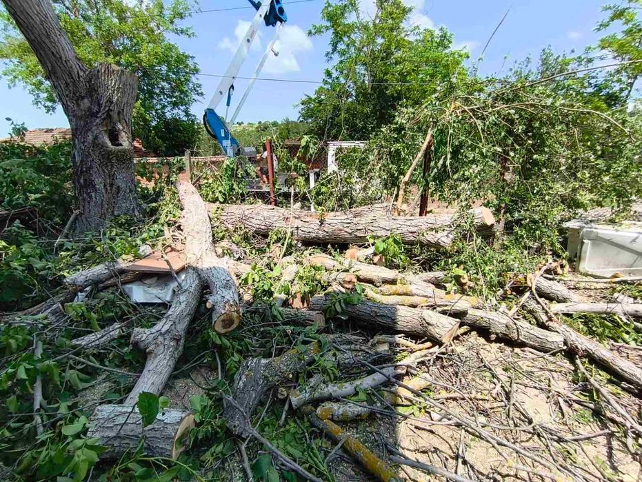 Дървен материал от орех