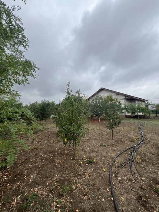 Casă VADU PASII Parter/Mansardă + 897 mp teren