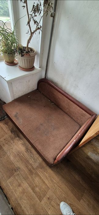 Отдам дрова бесплатно