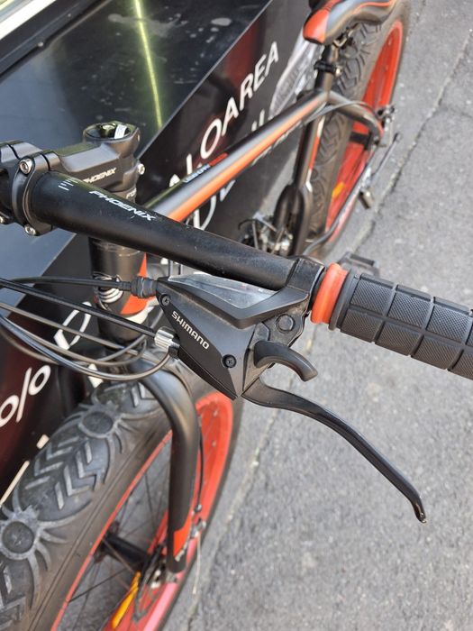 Bicicleta Phoenix