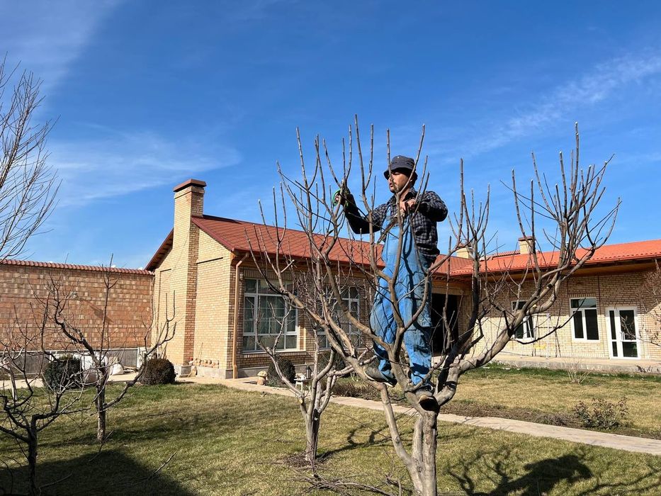Богбон Садовник ,Gardener