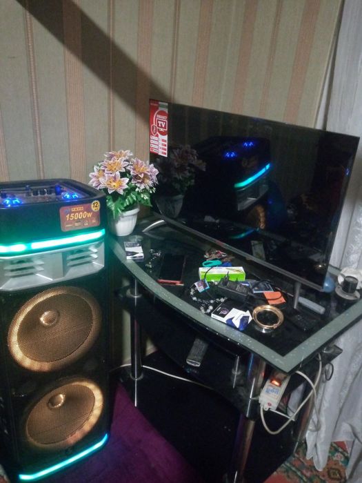 Kalooʻnka zoʻr holatda