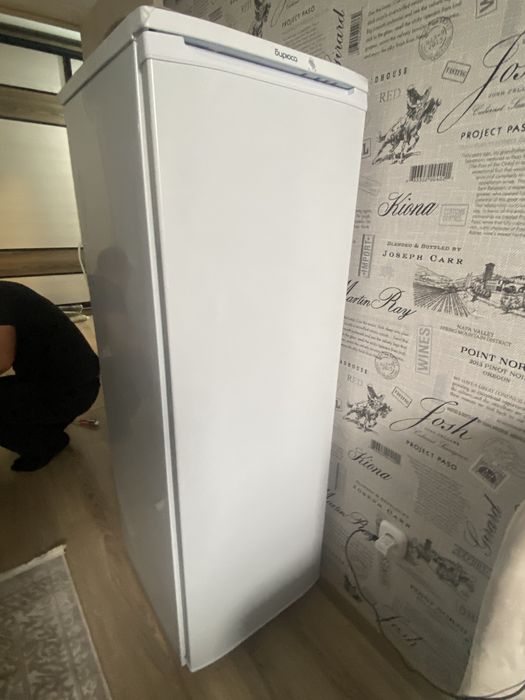 Холодильник бирюса