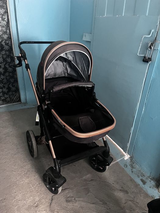 Коляска детская Everflo