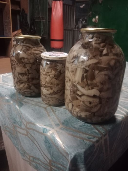 Продам соленые грибы