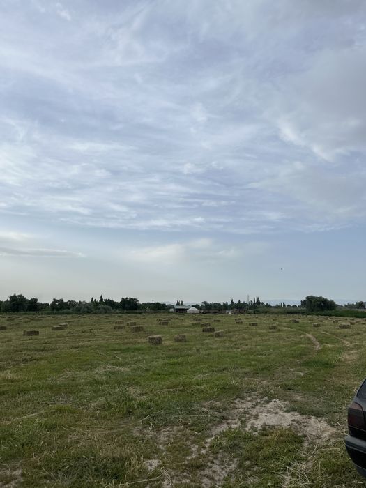 800 штук сатылады село казакстан