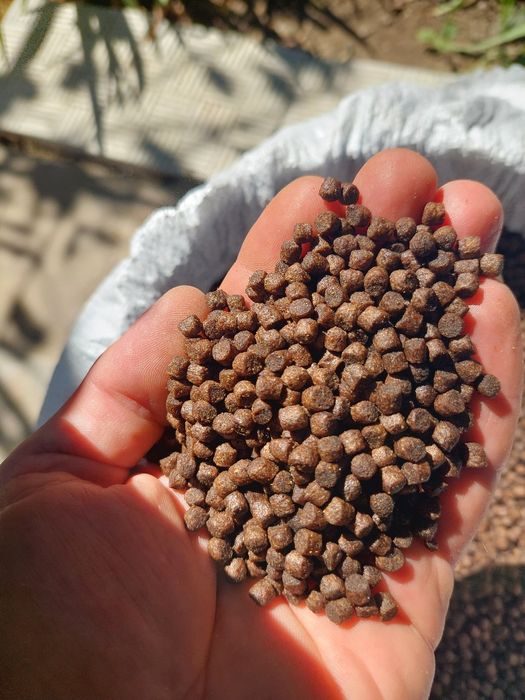 Плаваща храна за езерни риби