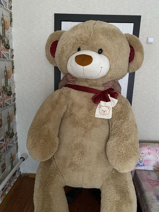 Продам медведя.Супер подарок.