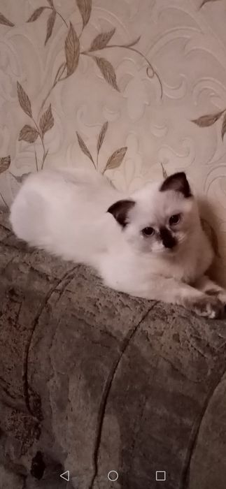 Не серьёзных просьба не беспокоить Девочка и мальчик 3 месяца.