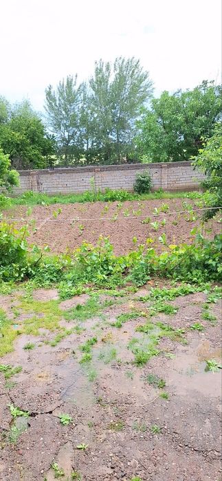 Toshkent viloyati Qibray tumani  Madanyat mahallada quru erga 20 sotiq