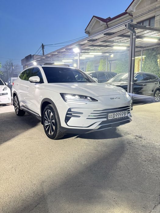 BYD chempion Gibrit 2026