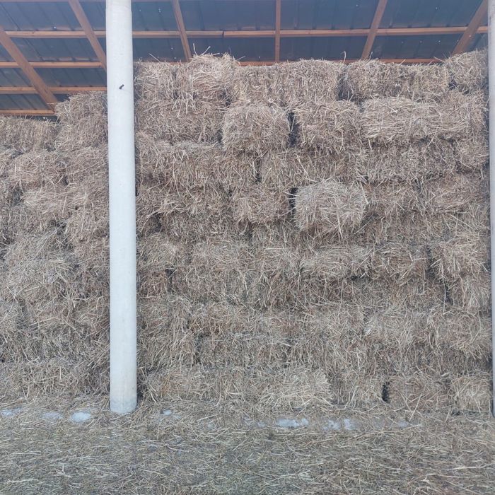 Продам солому соевую