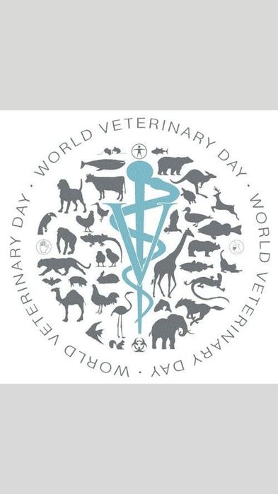ветеринария врач хизмати