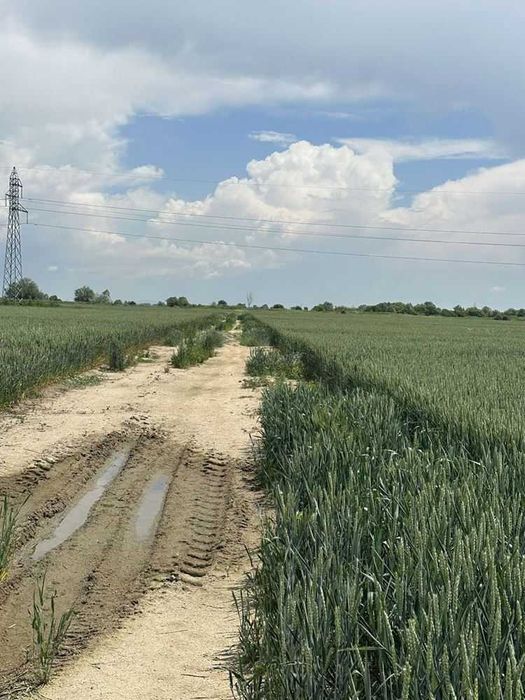 Продава се Парцел в Пловдив, Индустриална зона - Север - 33534 кв.м за 15 €/кв.м - Снимка #2