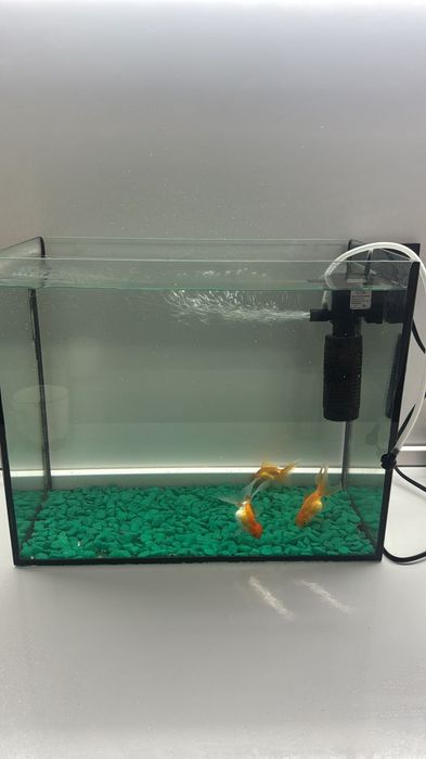 Аквариум сатылады