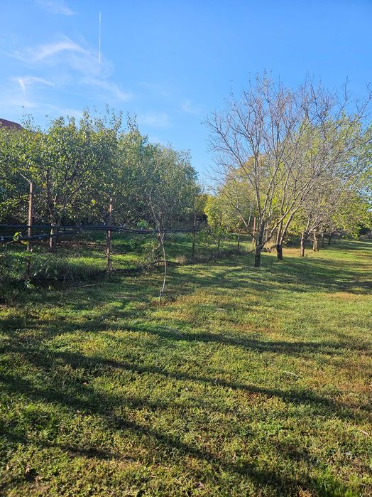 Ideal investitie rezidentiala: Teren cu deschidere la Lac Balotesti