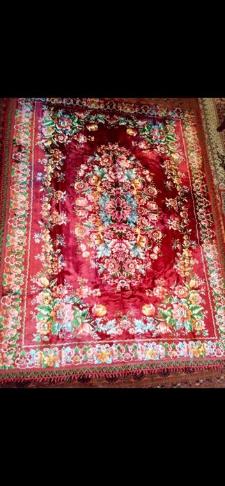 Албанский Палак новый