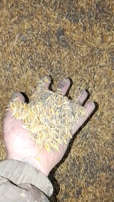 Продам корма для животных