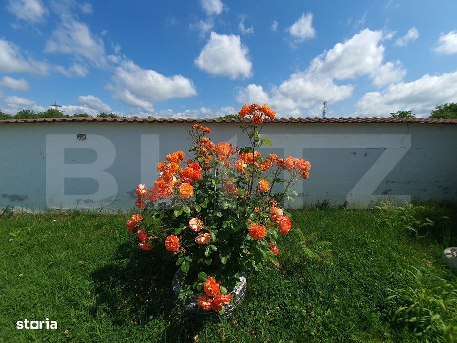 Vila cu 5 camere, 280 mp, livada pe rod, zona Valea Voievozilor