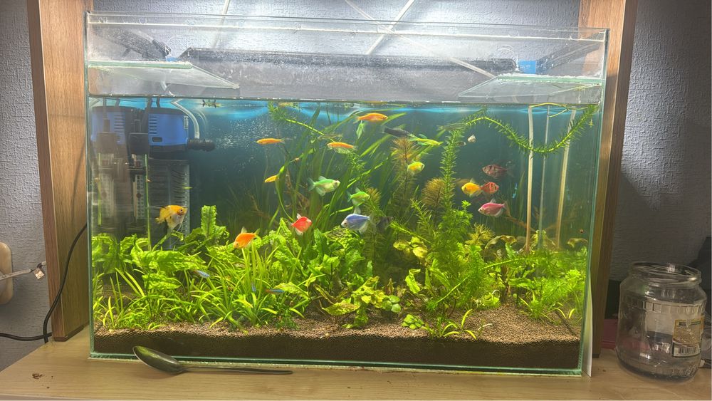Аквариум 60-50 литров ………………..